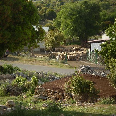 Arachovitika Kalivia Otel Karyes Dış mekan fotoğraf
