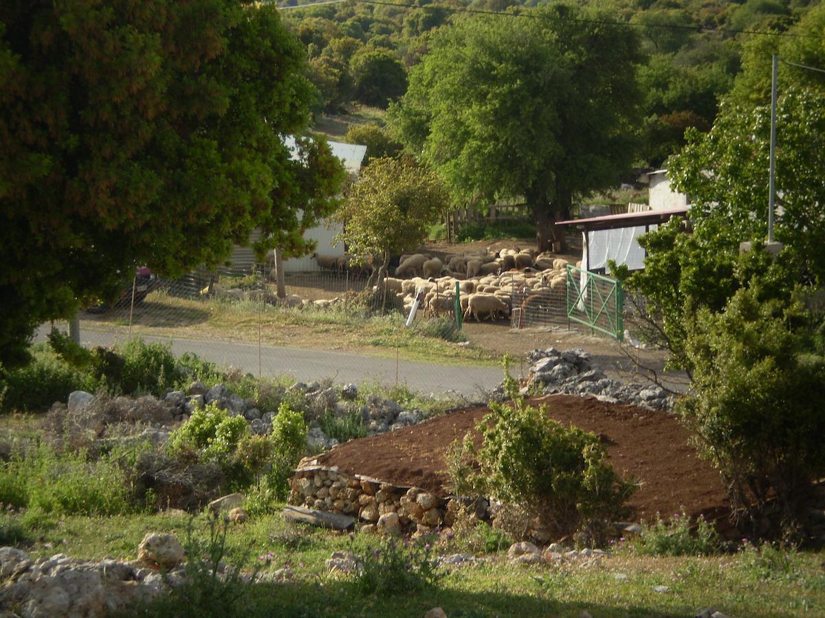 Arachovitika Kalivia Otel Karyes Dış mekan fotoğraf